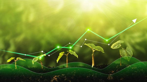 concept of growth