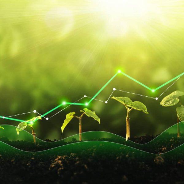 concept of growth