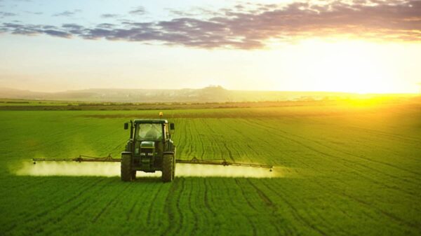 Tractor spraying a field of wheat with fertilizer