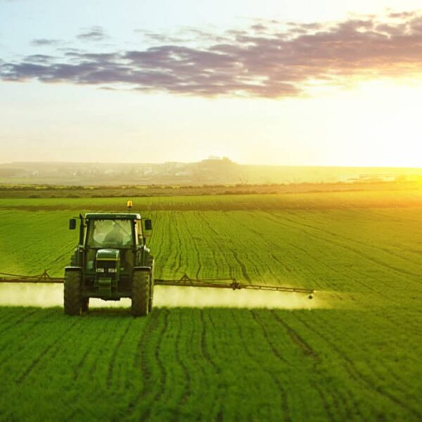 Tractor spraying a field of wheat with fertilizer